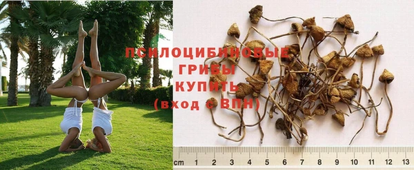 эйфоретик Абдулино