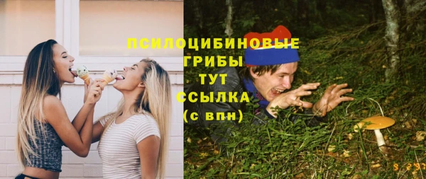 дурь Абинск
