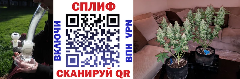 Канабис OG Kush  OMG зеркало  Сим  купить  цена 